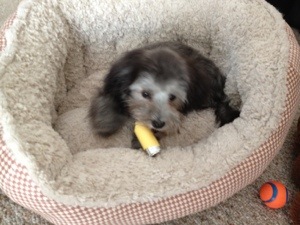 Winnie