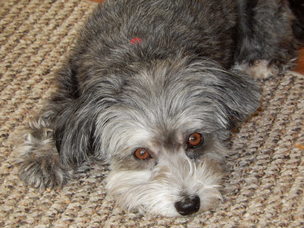 Photos of Winnie