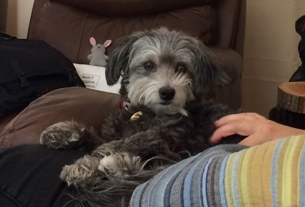 Winnie, a.k.a. Little&nbsp;Feet