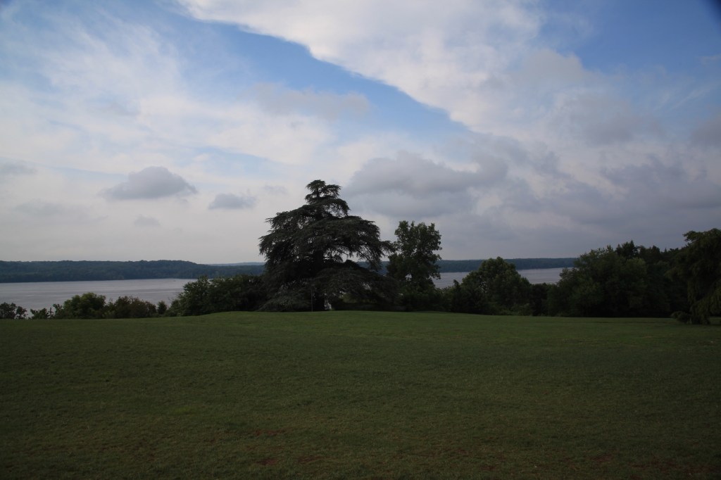 Morning walk at Mount Vernon, photo 5 of 52