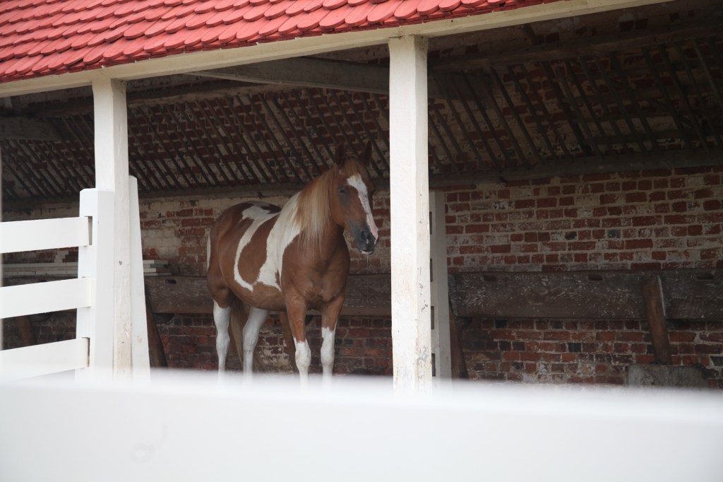 Morning walk at Mount Vernon, photo 14 of 52