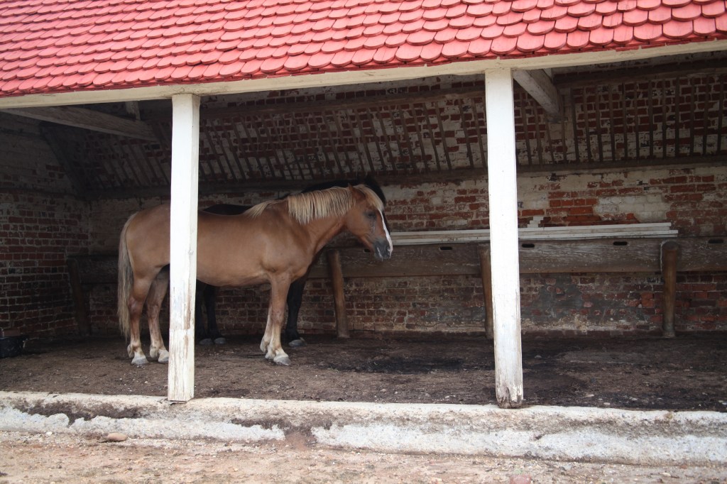 Morning walk at Mount Vernon, photo 15 of 52