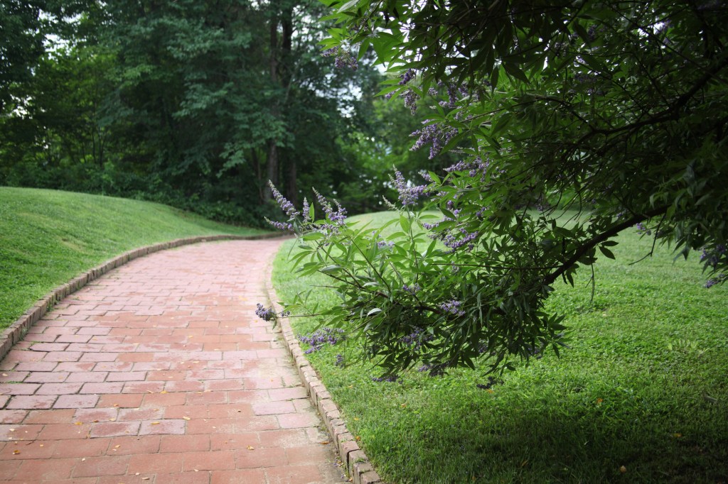 Morning walk at Mount Vernon, photo 16 of 52