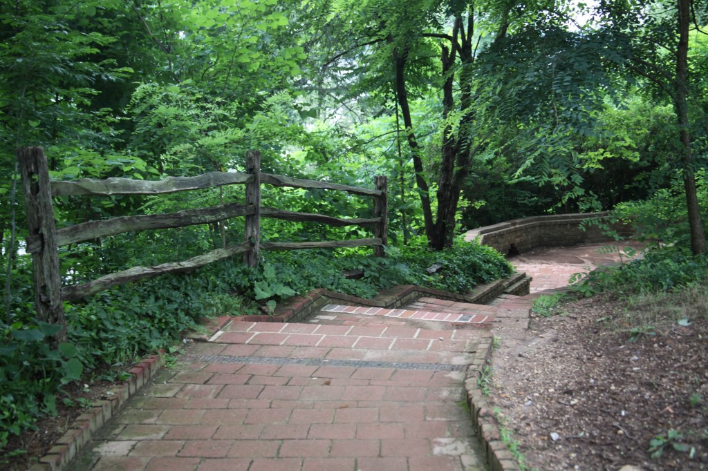 Morning walk at Mount Vernon, photo 17 of 52