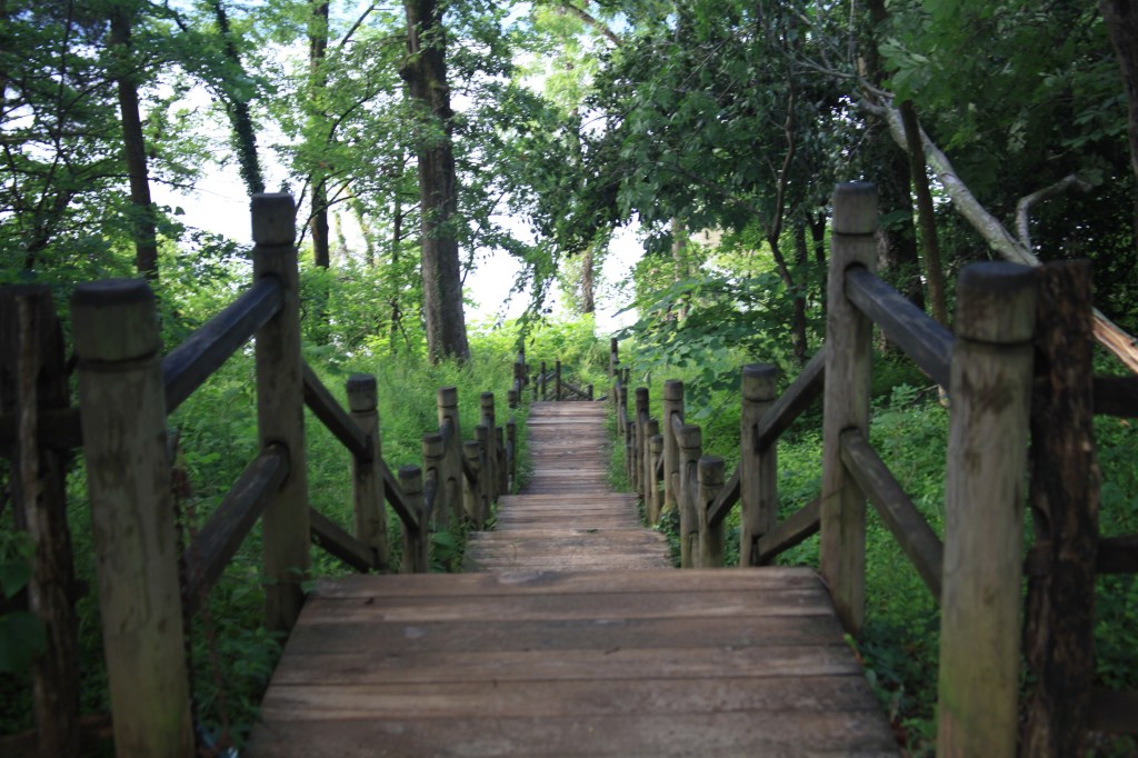 Morning walk at Mount Vernon, photo 19 of 52