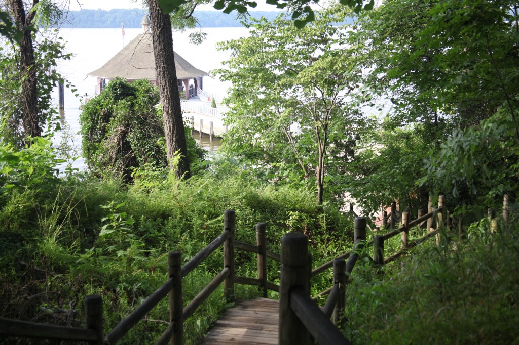 Morning walk at Mount Vernon, photo 20 of 52