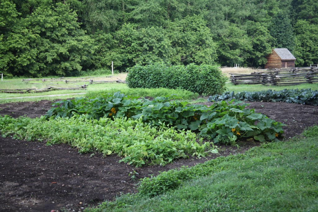 Morning walk at Mount Vernon, photo 27 of 52