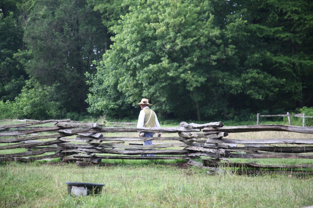 Morning walk at Mount Vernon, photo 30 of 52