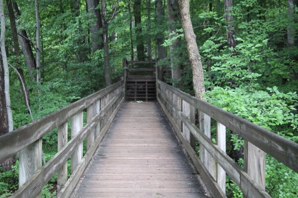 Morning walk at Mount Vernon, photo 36 of 52