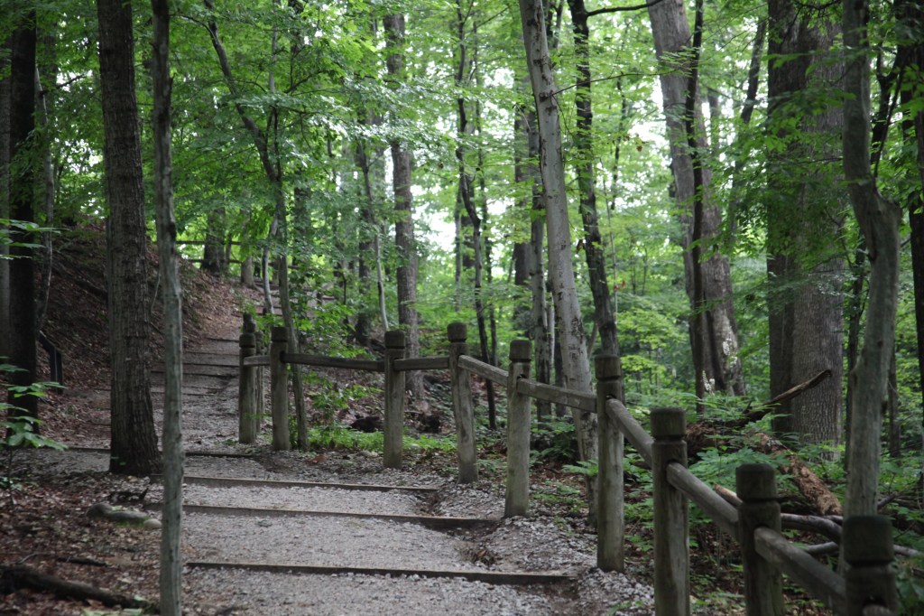 Morning walk at Mount Vernon, photo 37 of 52