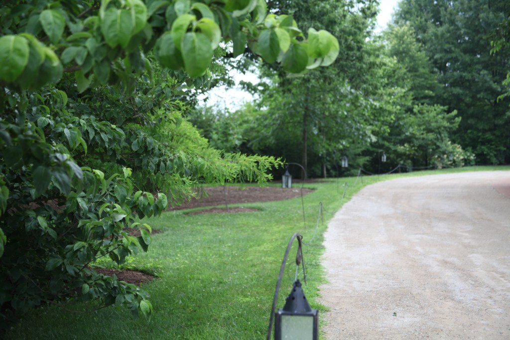 Morning walk at Mount Vernon, photo 49 of 52