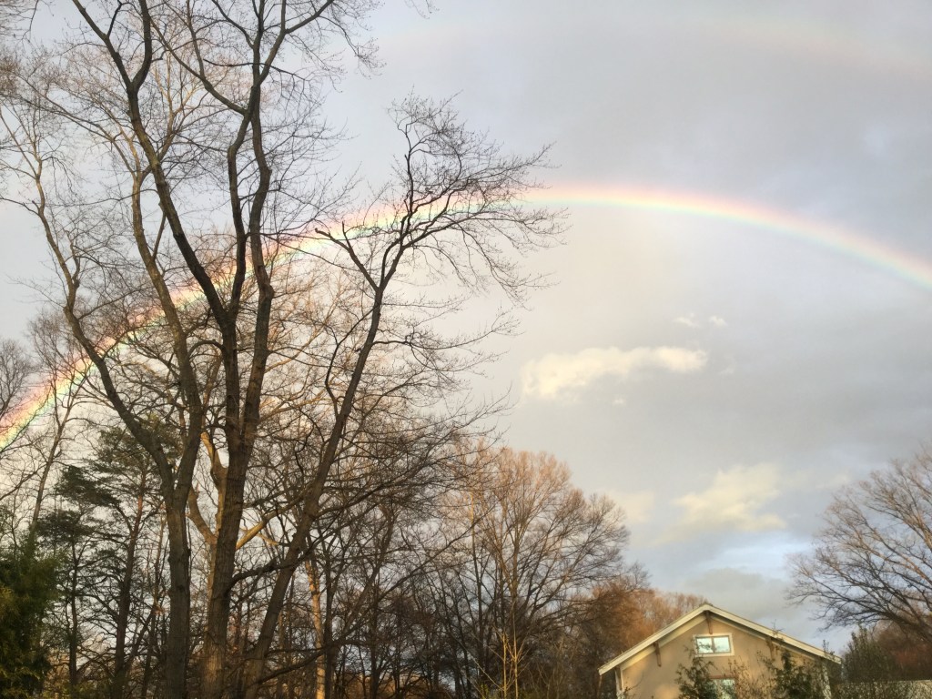 Rainbow