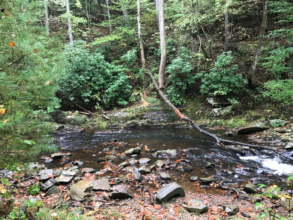 Scenery on the Blue Ridge Parkway, photo 4 of 5