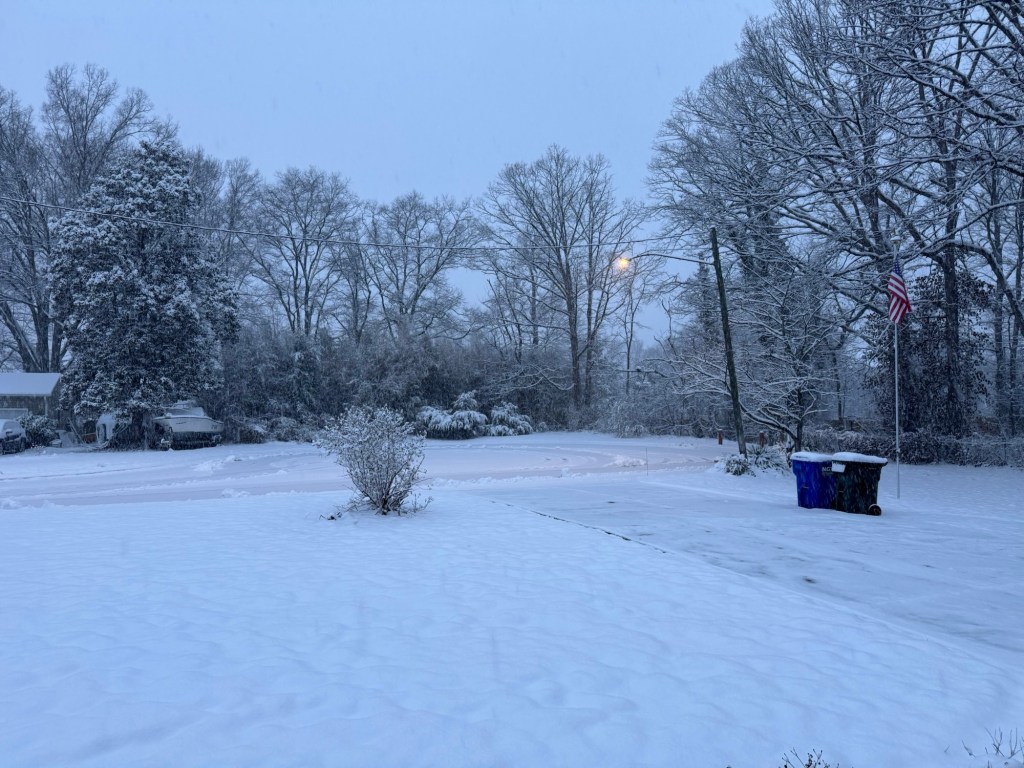 Snow day, February 11, 2025, photo 3 of 3