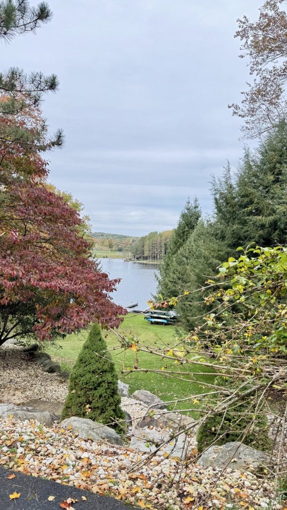 View down a grassy hill to the lake, with kayaks on the shore and red and green trees
