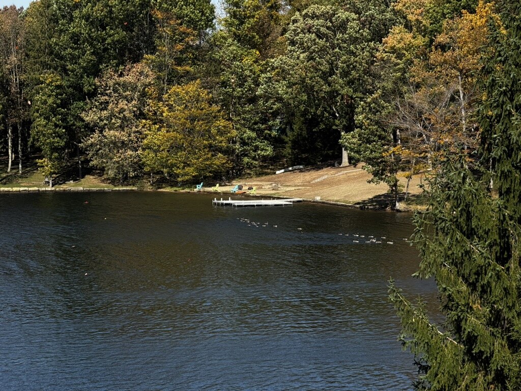 Geese swimming across the lake in front of a tree-lined shore with a small dock