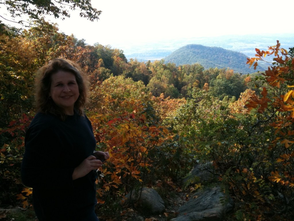 Orange fall leaves at a Blue Ridge Parkway overlook near Buena Vista, Virginia