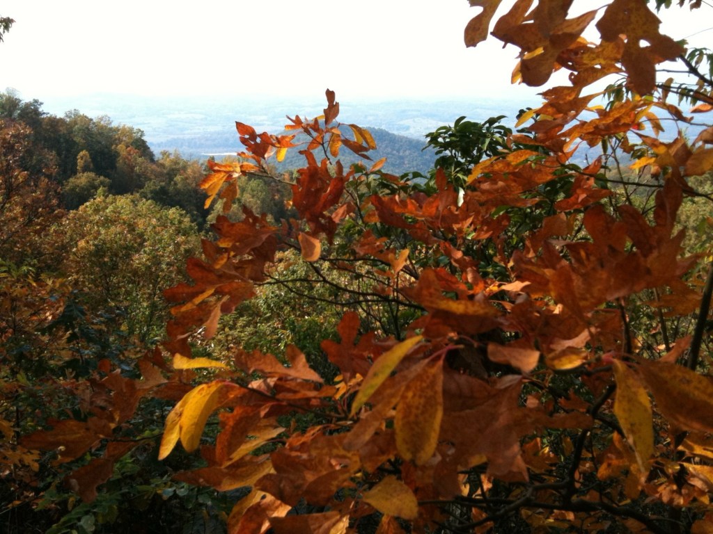 Katy at a Blue Ridge Parkway overlook in October 2010