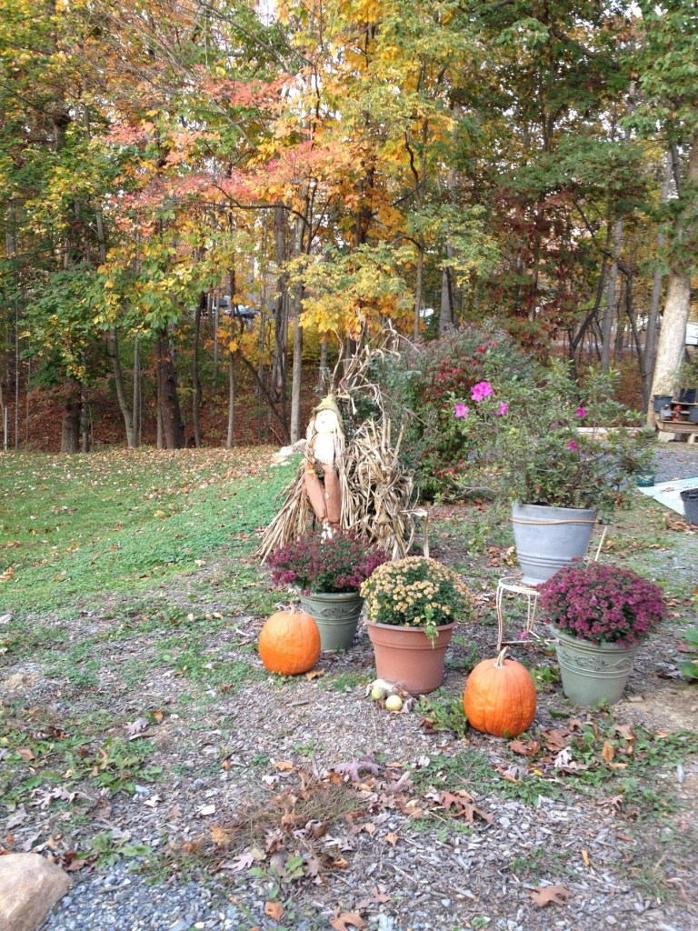 Fall display of pumpkins, mums and a scarecrow