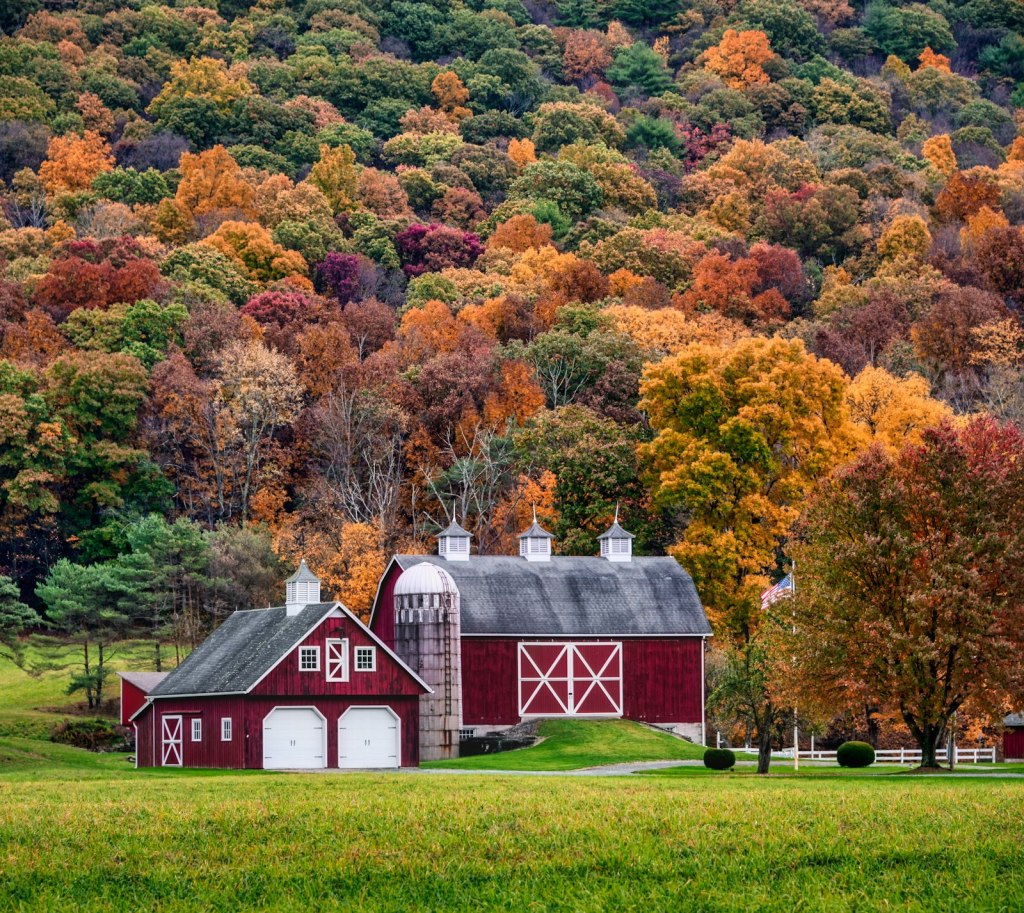 Red and white barn surrounded by autumn trees