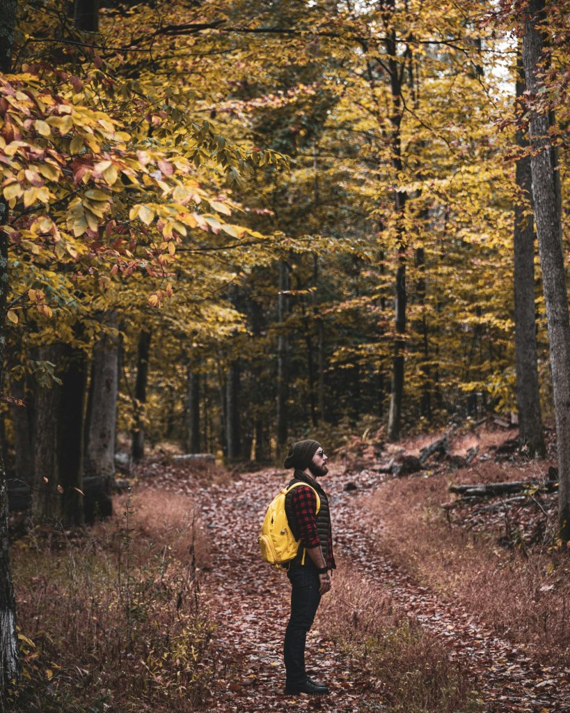 Hiker in a yellow jacket walking through a forest in fall