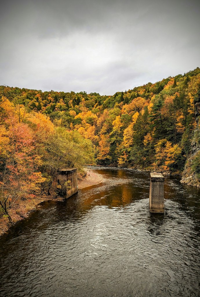 A lake surrounded by trees in autumn color