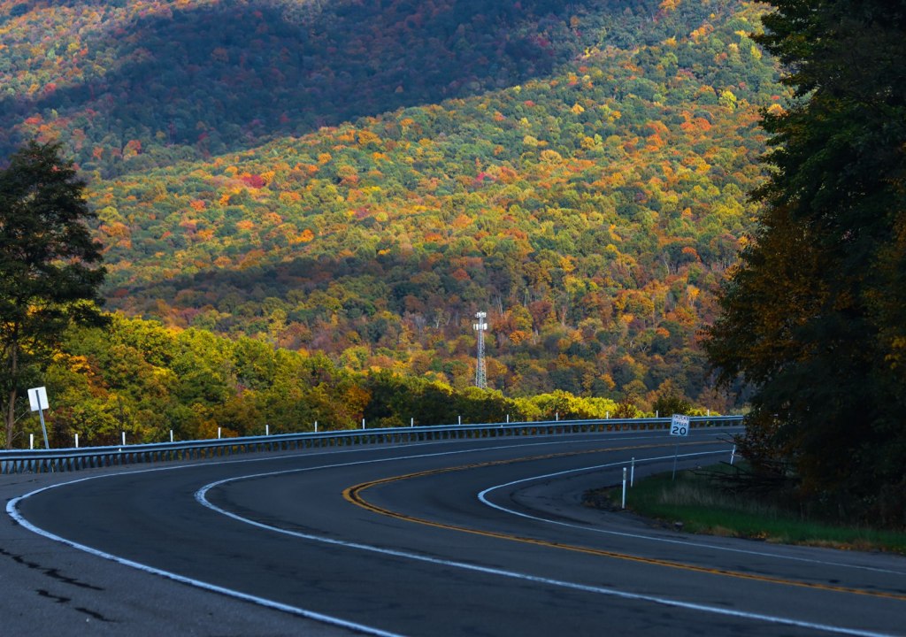 Winding road curving past a hillside of autumn trees
