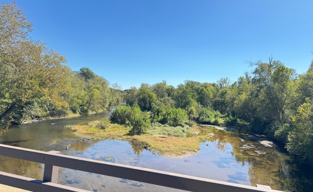 Low, clear river curving around a grassy island between tree-lined banks, seen over the bridge railing