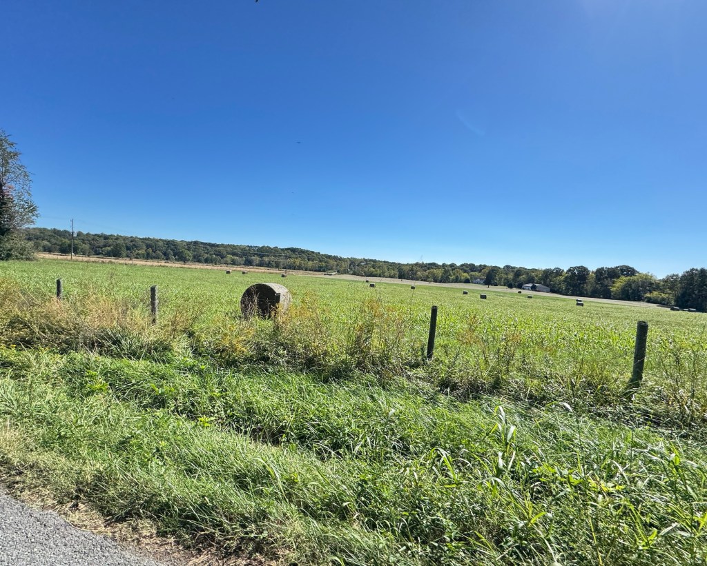Round hay bale in a green field behind a wire fence, with more bales and a line of trees in the distance