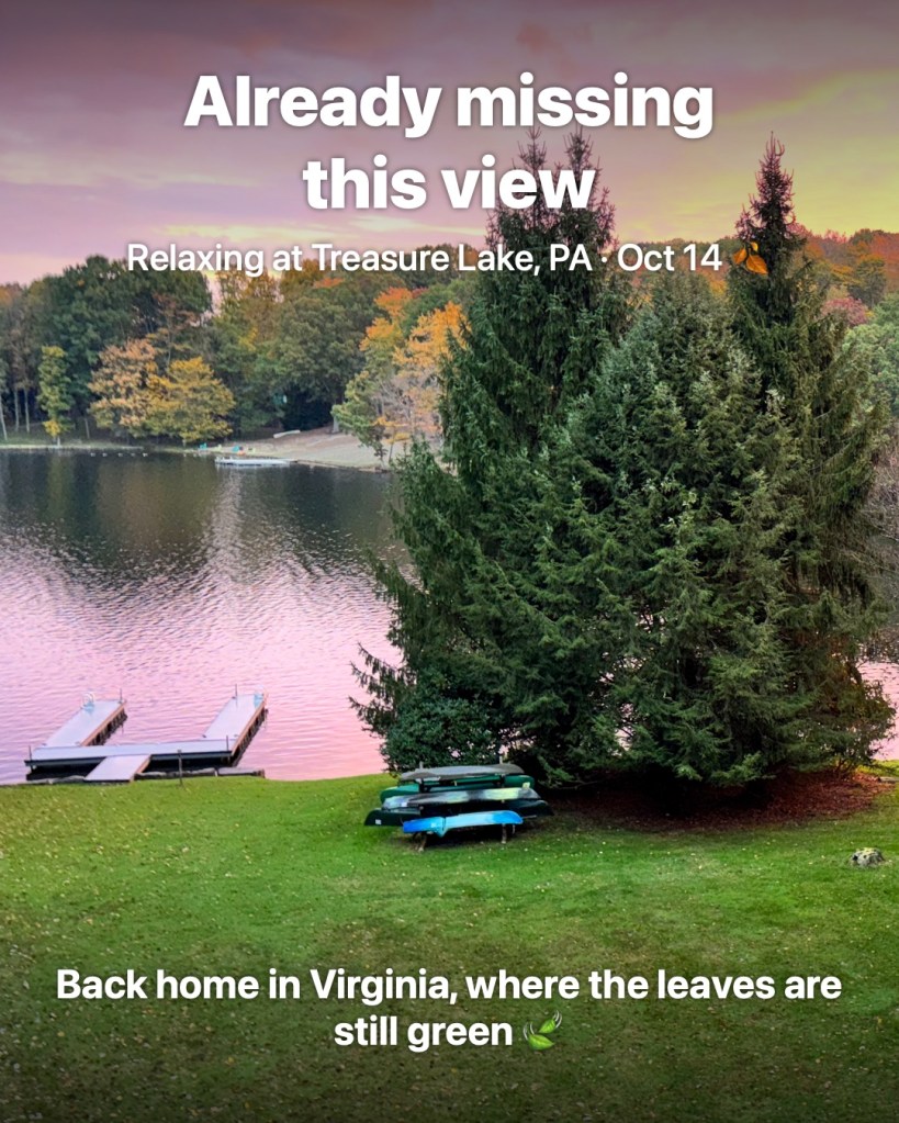 Pink sunrise sky over Treasure Lake, PA, with fall foliage, tall pines, a dock and kayaks on the lawn